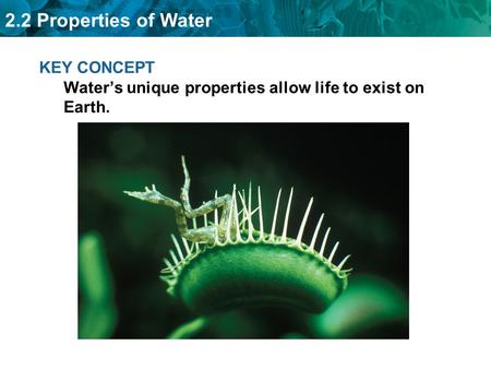 2.2 Properties of Water KEY CONCEPT Water’s unique properties allow life to exist on Earth.