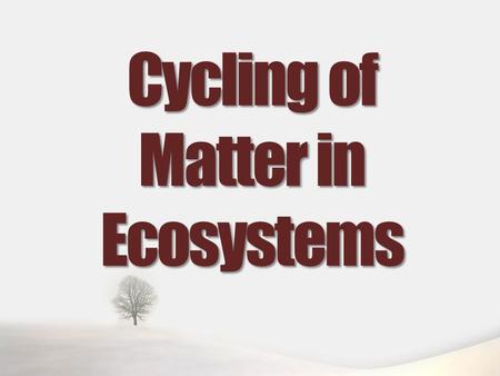 Cycling of Matter in Ecosystems. Biogeochemical Cycles Matter cannot be made or destroyed. All water and nutrients must be produced or obtained from chemicals.