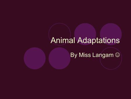 Animal Adaptations By Miss Langam. Defenses Venom: snakes Skin: rhinoceros Weapons  Antlers: deer  Hooves: deer  Claws: cat  Teeth: Raccoon  Spines: