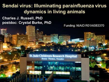 Sendai virus: Illuminating parainfluenza virus dynamics in living animals Charles J. Russell, PhD postdoc: Crystal Burke, PhD Funding: NIAID R01AI083370.