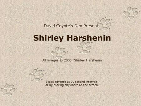 David Coyote’s Den Presents Shirley Harshenin All images © 2005 Shirley Harshenin Slides advance at 20 second intervals, or by clicking anywhere on the.