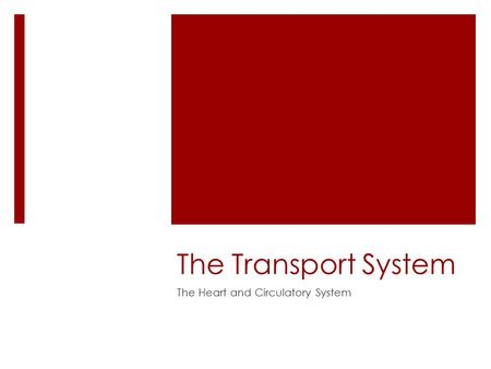 The Transport System The Heart and Circulatory System.