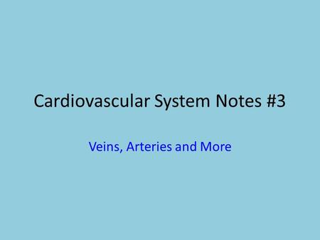 Cardiovascular System Notes #3 Veins, Arteries and More.