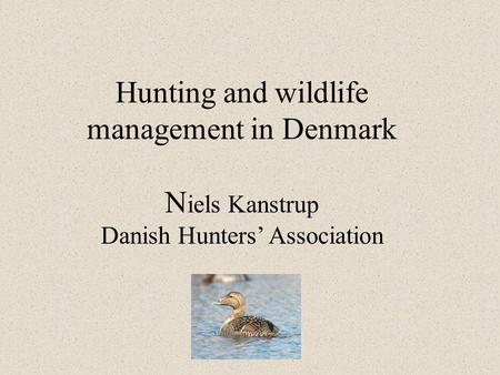 Hunting and wildlife management in Denmark N iels Kanstrup Danish Hunters’ Association.