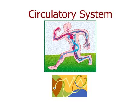 Circulatory System. Questions to think about! ■ Why is the heart referred to as a double pump? ■ Why is it necessary to have valves in the heart and some.