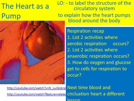 The Heart as a Pump LO: - to label the structure of the circulatory system to explain how the heart pumps blood around the body