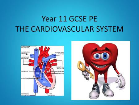Year 11 GCSE PE THE CARDIOVASCULAR SYSTEM. OBJECTIVES TO KNOW THE JOURNEY OF BLOOD THROUGH THE CARDIOVASCULAR SYSTEM TO UNDERSTAND HOW THE HEART WORKS.