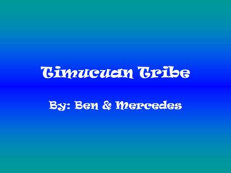 Timucuan Tribe By: Ben & Mercedes. Hunting The Timucuan tribe hunted deer, wild turkey and alligators. They used tools for hunting like spears, clubs,