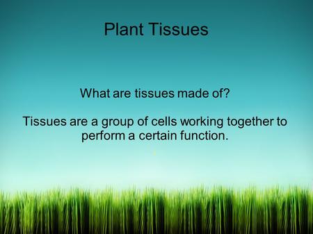 Plant Tissues What are tissues made of? Tissues are a group of cells working together to perform a certain function..