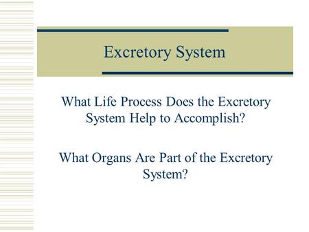 Excretory System What Life Process Does the Excretory System Help to Accomplish? What Organs Are Part of the Excretory System?