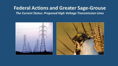 Federal Actions and Greater Sage-Grouse The Current Status: Proposed High Voltage Transmission Lines.