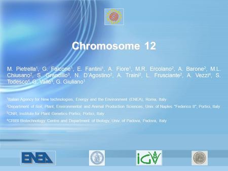 Chromosome 12 M. Pietrella 1, G. Falcone 1, E. Fantini 1, A. Fiore 1, M.R. Ercolano 2, A. Barone 2, M.L. Chiusano 2, S. Grandillo 3, N. D’Agostino 2, A.
