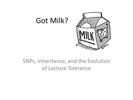 Got Milk? SNPs, Inheritance, and the Evolution of Lactose Tolerance.