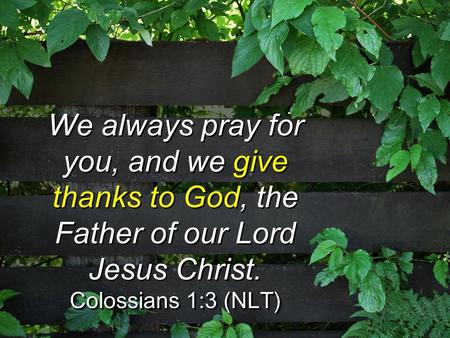 We always pray for you, and we give thanks to God, the Father of our Lord Jesus Christ. Colossians 1:3 (NLT) We always pray for you, and we give thanks.