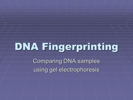 DNA Fingerprinting Comparing DNA samples using gel electrophoresis.