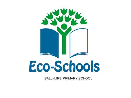 BALLNURE PRIMARY SCHOOL. What is Eco Schools ?