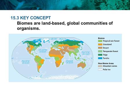 15.3 KEY CONCEPT Biomes are land-based, global communities of organisms.