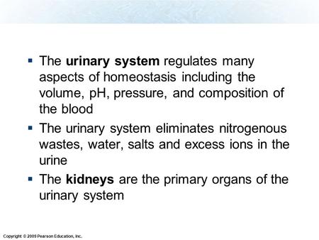 Copyright © 2009 Pearson Education, Inc.  The urinary system regulates many aspects of homeostasis including the volume, pH, pressure, and composition.