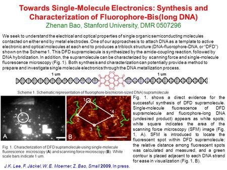 1 um We seek to understand the electrical and optical properties of single organic semiconducting molecules contacted on either end by metal electrodes.