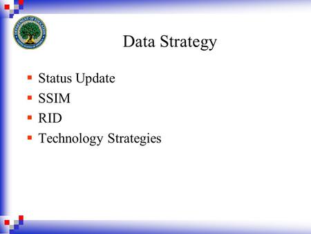 Data Strategy  Status Update  SSIM  RID  Technology Strategies.