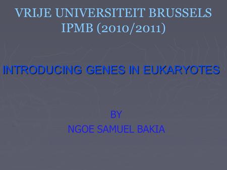 VRIJE UNIVERSITEIT BRUSSELS IPMB (2010/2011) INTRODUCING GENES IN EUKARYOTES BY NGOE SAMUEL BAKIA.