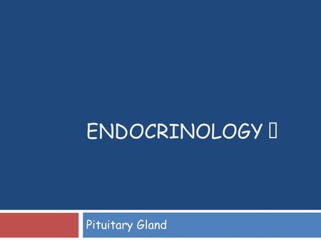 Endocrinology Ⅱ Pituitary Gland.
