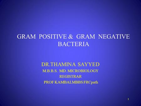 GRAM POSITIVE & GRAM NEGATIVE BACTERIA