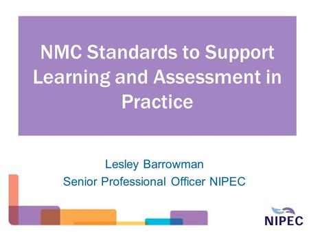 NMC Standards to Support Learning and Assessment in Practice Lesley Barrowman Senior Professional Officer NIPEC.