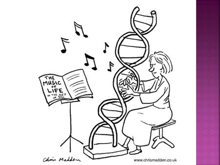 Molecular Biology of the Gene  1952—Hershey & Chase determine that DNA rather than protein carries genetic information  1953—Rosalind Franklin captures.