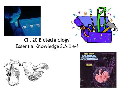 Ch. 20 Biotechnology Essential Knowledge 3.A.1 e-f