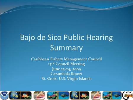 Bajo de Sico Public Hearing Summary Caribbean Fishery Management Council 131 st Council Meeting June 23-24, 2009 Carambola Resort St. Croix, U.S. Virgin.