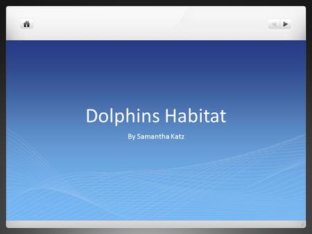 Dolphins Habitat By Samantha Katz. Dolphins Snacks Yum yum All dolphins eat fish squid and shrimp to. Dolphins eat there food very fast. Dolphins are.