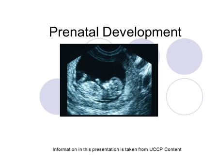 Prenatal Development Information in this presentation is taken from UCCP Content.