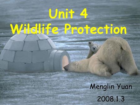 Unit 4 Wildlife Protection Menglin Yuan 2008.1.3.