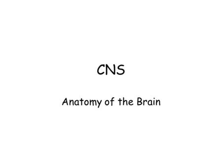CNS Anatomy of the Brain.