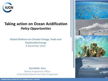 Taking action on Ocean Acidification Policy Opportunities INTERNATIONAL UNION FOR THE CONSERVATION OF NATURE ©IUCN/Tamelander ©Herr ©Hoegh-Guldberg ©freefotouk.