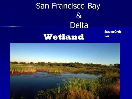 Wetland Wetland San Francisco Bay & Delta San Francisco Bay & Delta Wetland Wetland Steven Ortiz Per.1.