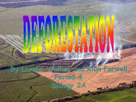 Deforestation is the process of destroying a forest and replacing it with something else.Deforestation is the process of destroying a forest and replacing.