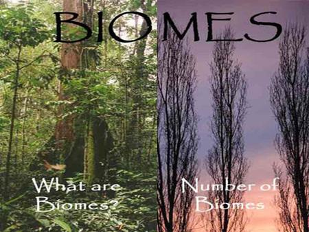 What are biomes? Small units of the biosphere Areas that have plants and animals that are well adapted to the region's physical environment Two distinction.