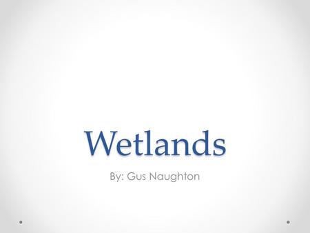Wetlands By: Gus Naughton. What are wetlands? A wetland is an area of land whose soil is saturated with moisture either permanently or seasonally. Such.