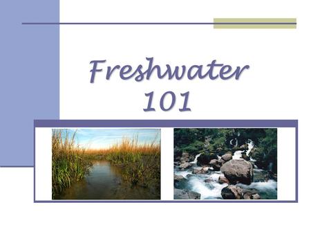 Freshwater 101. All water can be divided into … Saltwater vs. Freshwater Saltwater: Saltwater: Salinity is around 2.7% salt (NaCl) Freshwater 101: