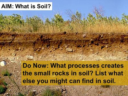 Do Now: What processes creates the small rocks in soil? List what else you might can find in soil. AIM: What is Soil?