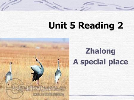 Unit 5 Reading 2 Zhalong A special place. World match 1.wetlands 2.provide 3.shelter 4.endangered 5.tourists people who are travelling in a dangerous.