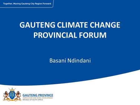 GAUTENG CLIMATE CHANGE PROVINCIAL FORUM Basani Ndindani.
