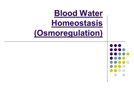 Blood Water Homeostasis (Osmoregulation)