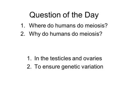 Question of the Day 1.Where do humans do meiosis? 2.Why do humans do meiosis? 1.In the testicles and ovaries 2.To ensure genetic variation.