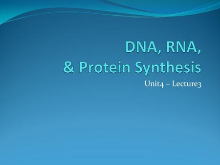 DNA, RNA, & Protein Synthesis