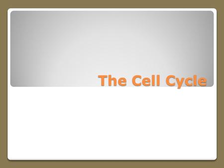 The Cell Cycle. Life Cycle of a Cell Before a growing cell becomes too large it divides The division results in two essentially identical cells called.