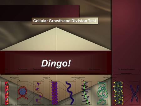 Copyright © 2004 Glenna R. Shaw & FTC Publishing Dingo! Cellular Growth and Division Test.