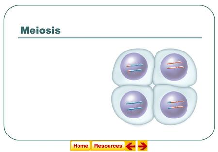 Meiosis  Human body cells have 46 chromosomes Meiosis (sexual reproduction) - General Overview Sexual Reproduction and Genetics  Each parent contributes.